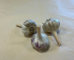 Organic Spanish Roja